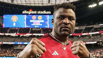Will Duel Against Tyson Fury, Francis Ngannou Asks Mike Tyson For Help