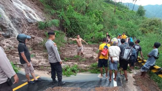 ロンボク島北部の地すべりの原因と疑われる土地転換