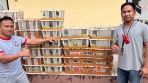 Polisi Gagalkan Penyelundupan 1.300 Ekor Burung di Pelabuhan Bakauheni