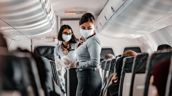 Drunk Airplane Passengers Don't Give Up On Flight Attendants In India's Sky
