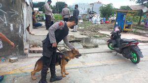 Turunkan Anjing Pelacak, 10 Orang Diduga Bandar Narkoba Lari Berhamburan di Kampung Boncos, 2 Orang Ditangkap