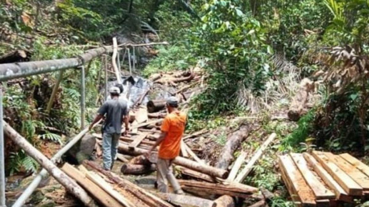 森林警察がレンクアス・ビンタン山での違法伐採の加害者を捜索