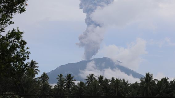 BNPB Down To West Halmahera: Handling Mount Ibu Eruption Begins