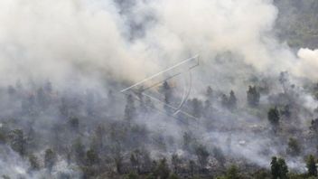 KLHK Beware Of Potential For Forest And Land Fires During The Peak Cycle Of The Dry Season