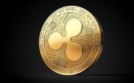 Belum Kapok, Regulator AS Ajukan Banding Setelah Pengadilan Berikan Kemenangan untuk Ripple