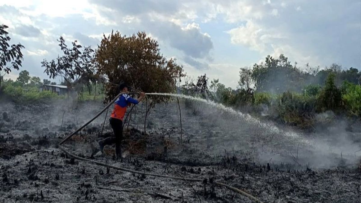 Karhutla Begins To Be Detected In Central Kalimantan Kotim, BPBD Asks For Water Bombing Helicopter Support At Sampit Airport