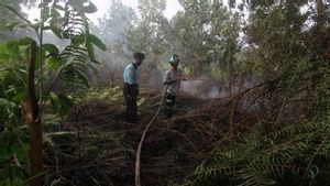 Titik Api di Kalimantan Barat Berkurang Setelah Hujan 