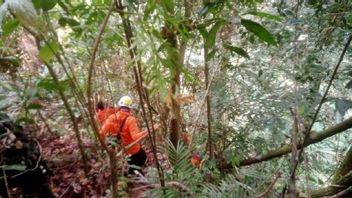 SAR Team Searches For 2 Missing Residents In Kerinci Forest