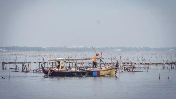 Cerita Warga Desa Kohod Tangerang, Lahan Produktif Hilang akibat Abrasi