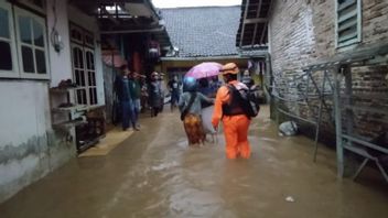 Ratusan Rumah Warga 2 Kecamatan di Jember Kebanjiran