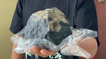 Kesempatan Langka yang Dilewatkan LAPAN, Setelah Terjualnya Batu Meteor Milik Josua