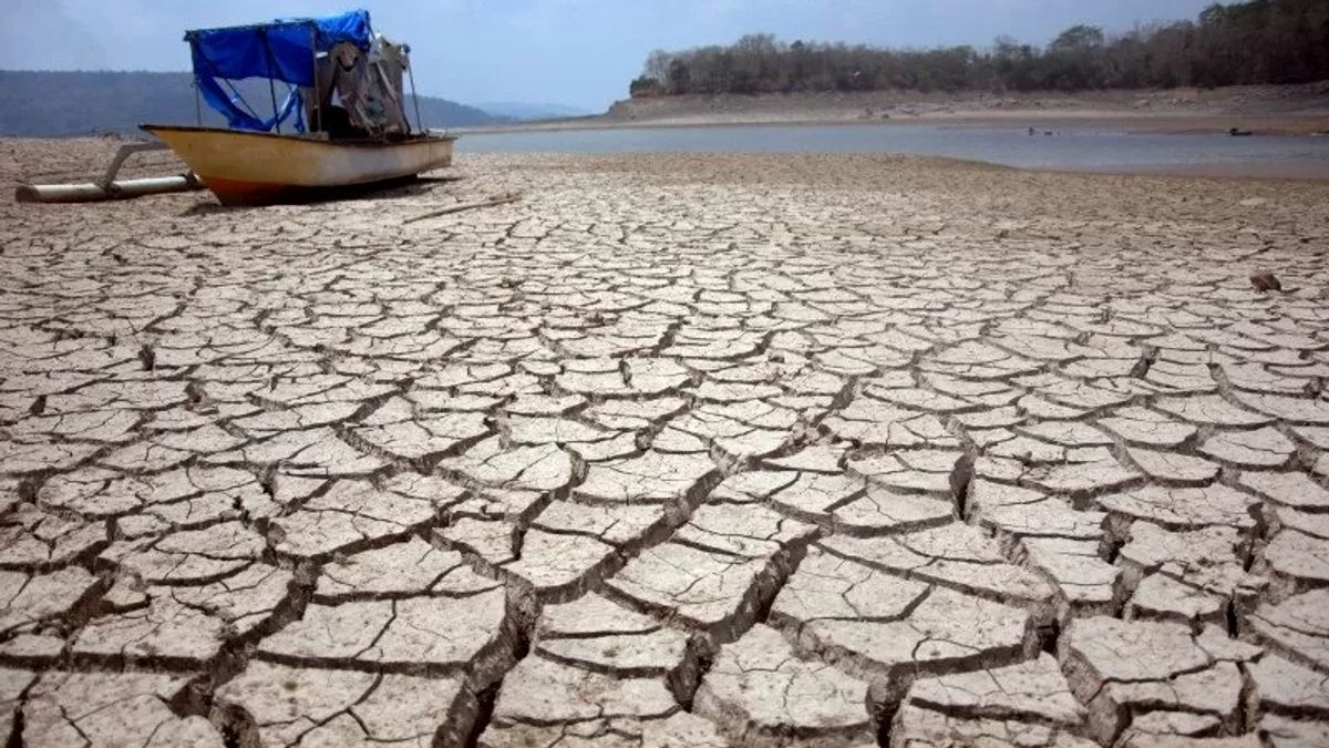 BMKG负责人：2023年的干旱将比前三年更干燥