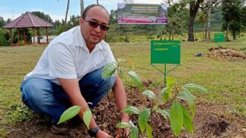 Kebun Raya Samosir Cetak Rekor Muri Gara-Gara Tanam Ini