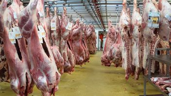 Meat Sellers In Jakarta Will Strike A Trade Strike, Anies' Men Prepare Meat Stock
