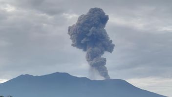   Gunung Marapi Sumbar Erupsi Senin Sore