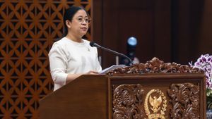 Puan Minta Komisi DPR Evaluasi Pelayanan Kesehatan 3T Setelah Ibu Hamil Ditolak RS Papua