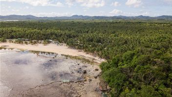 よく見かける生物圏現象の例は、毎日見られます