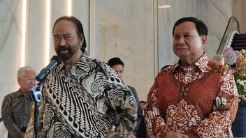 Surya Paloh Ungkap Kesepakatan Pertemuan dengan Prabowo soal Pemilu, Jadi Koalisi?