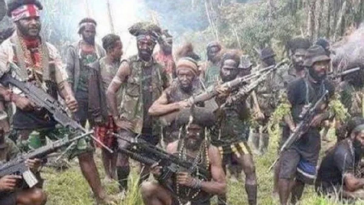 Bakar Bangunan hingga Tembak Tukang Ojek, Anggota KKB Terlibat Belasan Teror di Puncak Papua Ditangkap!