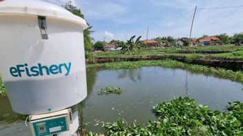 KoinWorks Gandeng eFishery for Support Fish Farmers Capital