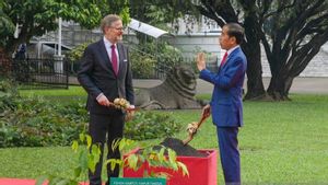 Jokowi dan PM Ceko Tanam Bibit Kamper di Samping Pohon Merawan yang Ditaruh Presiden Vietnam