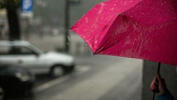 Entering The Rainy Season, Jakarta Will Experience Rain From Noon To Evening