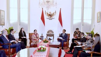Wamenlu: Jokowi Bahas Upaya Negara MIKTA jadi Jembatan Perdamaian di Gaza Palestina