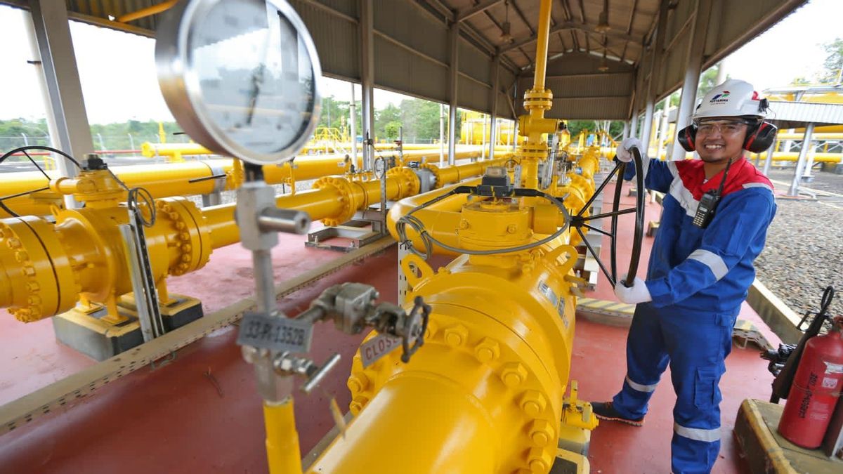 Anak Usaha PGN, TGI Kelola 1.000 Km Jaringan Gas untuk Wilayah Sumatera-Singapura