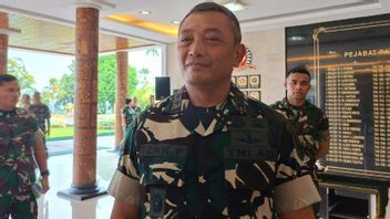 Pangdam Cenderawasih:KKB Intan Jaya持有13个Senpi支架,从左轮手枪到Serbu步枪