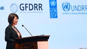 Strengthening Disaster Action, UNDP Relys On Indonesia's Leadership In G20