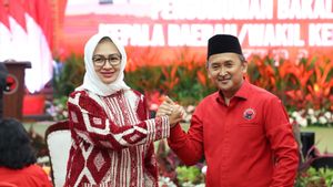 Misi dari Megawati untuk Airin-Ade di Banten: Stunting Nol!