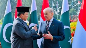 PM Pakistan ke Prabowo: Kami Senang Hati Kirim Dokter hingga Profesor Medis ke RI