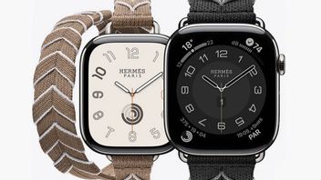 WatchOS 26 Beta Makes Apple Watch Hermes Crash, Apple Asks Users To Hold Back