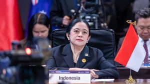 Puan Desak Pemerintah Bergerak Cepat Soal Banjir: Tak Boleh Ada Warga Menunggu Bantuan Berhari-hari