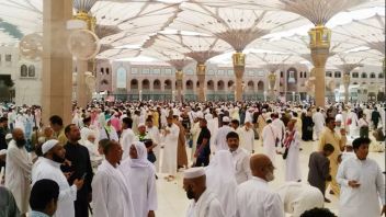 Jamaah Umroh Dream Tour Travel Mengaku Kecewa karena Layanan Tidak Sesuai yang Dijanjikan