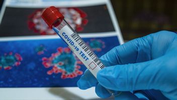 Ministère de la santé : aucune nouvelle mutation du virus COVID-19 n'a été trouvée