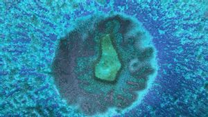 Kemampuan Organisme untuk Menghasilkan Keturunan dan Tujuannya