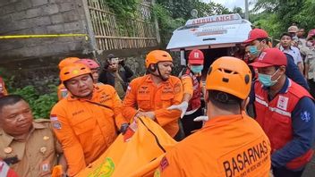 Tanah Longsor di Bali: 8 Orang Tewas, 2 Lokasi Terdampak Parah