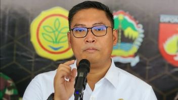 Wamentan Mengaku Presiden Prabowo Kerap Telepon Jajaran Menteri Cek Harga Sembako 