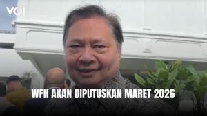 Airlangga Hartarto Tentang WFH, Akan Ditetapkan Maret 2026