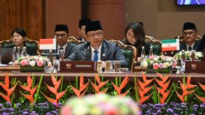 インドネシア外務大臣:BRICSの最大の価値は、将来の世界秩序のための途上国の声を強化することにある