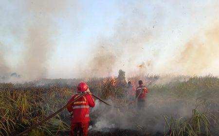 BNPB: Delapan Hektare Lahan di Palangka Raya Hangus Terdampak Karhutla