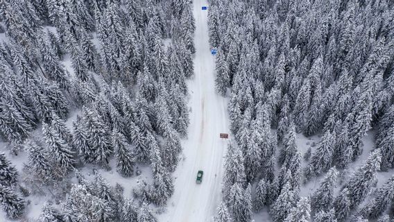 中国的道路通道因雪崩而中断,导致被困游客开始康复