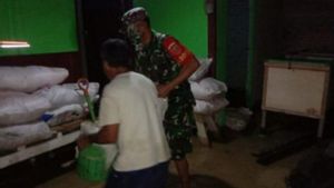 TNI Terjunkan Personel Bantu Korban Banjir di Mamuju