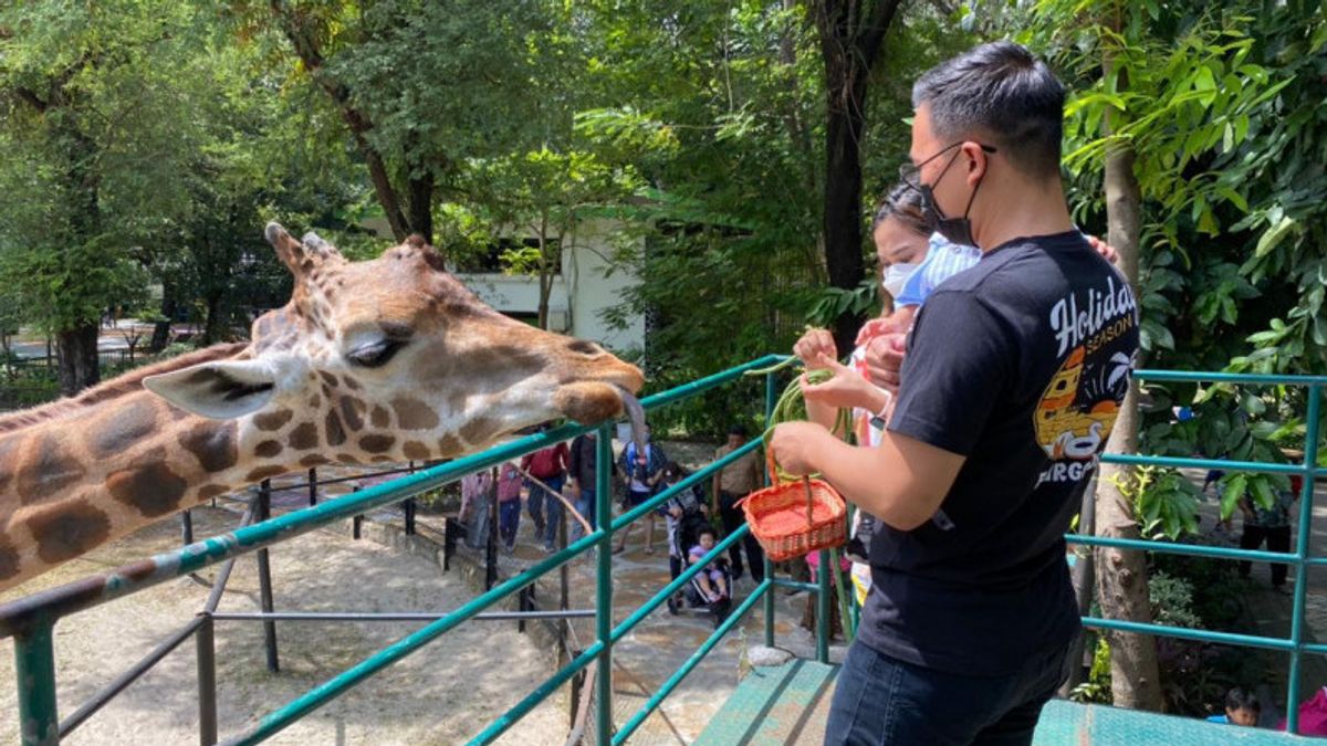 Le Zoo De Surabaya Prêt Pour L’essai D’ouverture