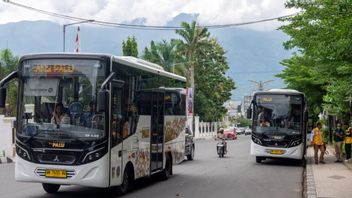 PNS dan ASN Palu Diwajibkan Naik Transportasi Umum Dua Kali Seminggu
