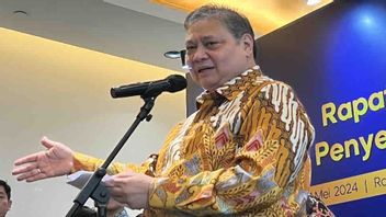 Coordinating Minister Airlangga: Development Of BSD SEZs To Murni Morowali Is Carried Out By Private