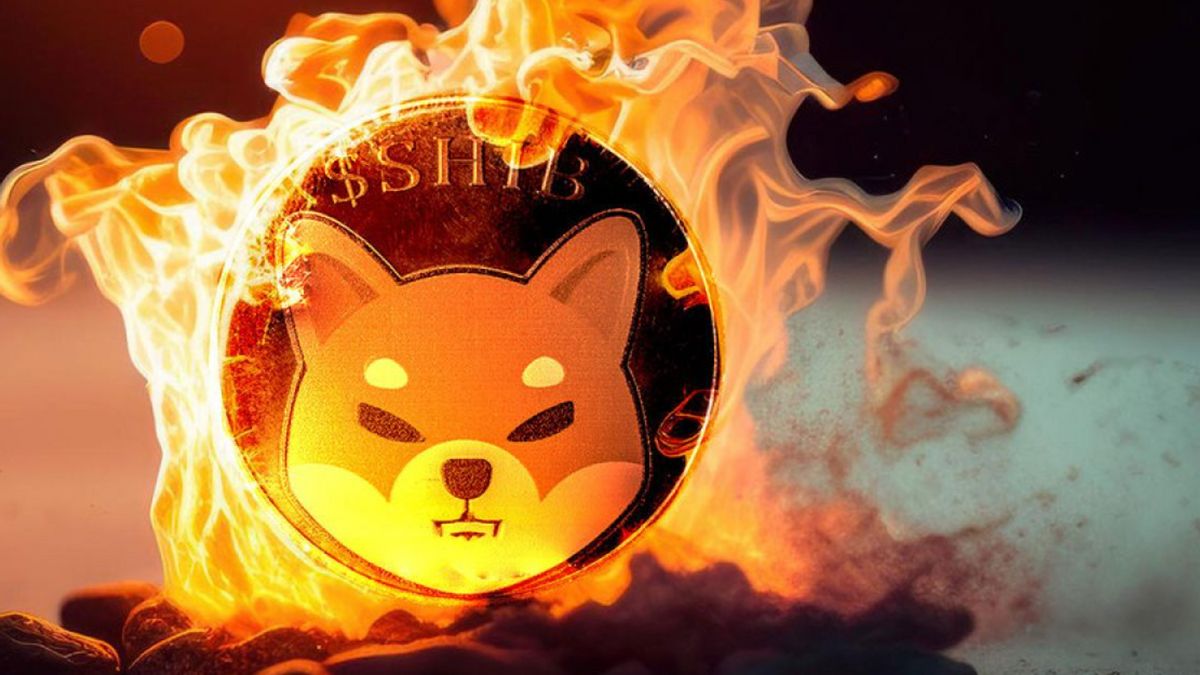 Shiba Inu (SHIB) A enregistré une augmentation du taux de combustion de 3 348%