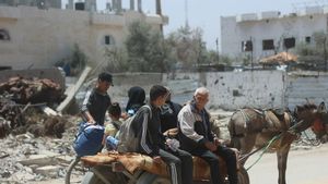 Belgian Foreign Minister Calls Gaza's Situation Similar To Genocide