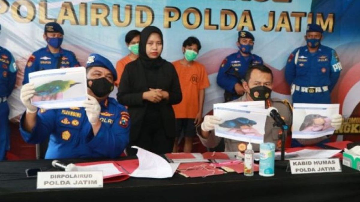 Polairud Polda Jawa Timur Gagalkan Perdagangan Burung Dilindungi